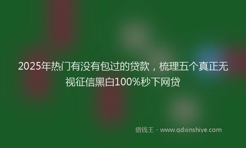 2025年热门有没有包过的贷款，梳理五个真正无视征信黑白100%秒下网贷