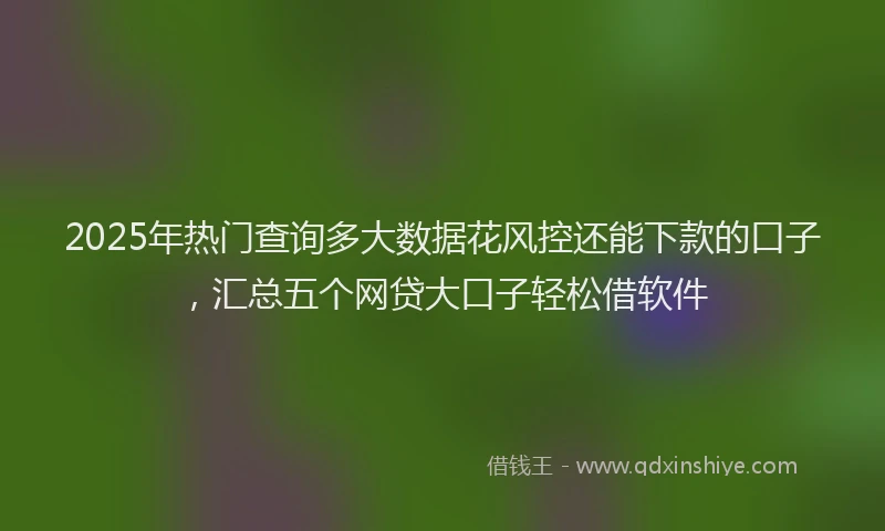 2025年热门查询多大数据花风控还能下款的口子，汇总五个网贷大口子轻松借软件