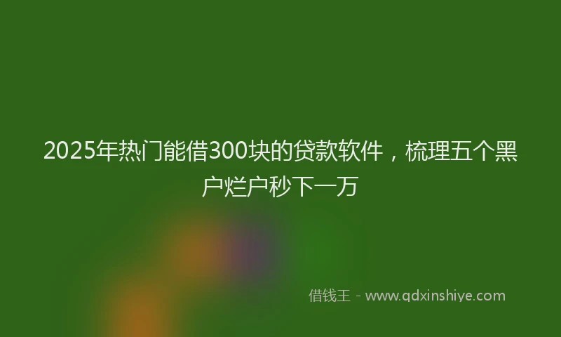 2025年热门能借300块的贷款软件，梳理五个黑户烂户秒下一万