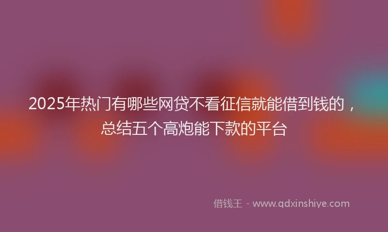 2025年热门有哪些网贷不看征信就能借到钱的，总结五个高炮能下款的平台