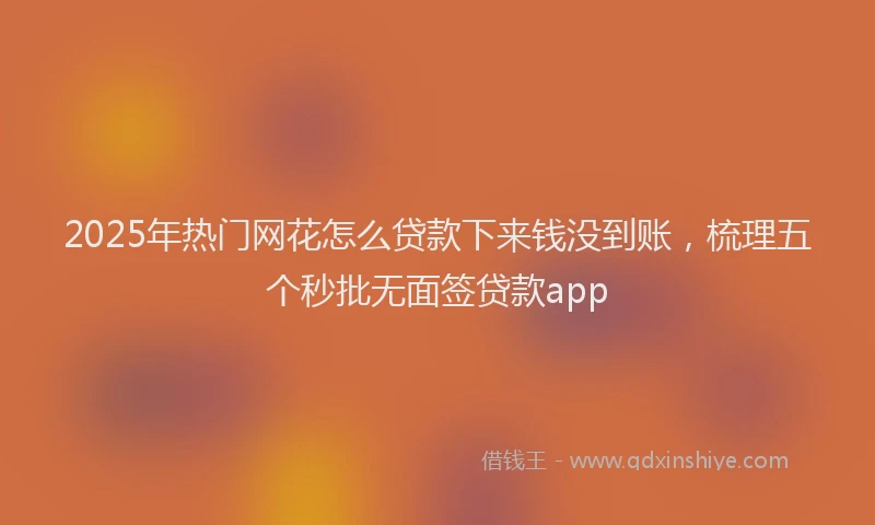 2025年热门网花怎么贷款下来钱没到账，梳理五个秒批无面签贷款app