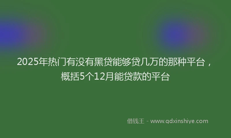 2025年热门有没有黑贷能够贷几万的那种平台，概括5个12月能贷款的平台