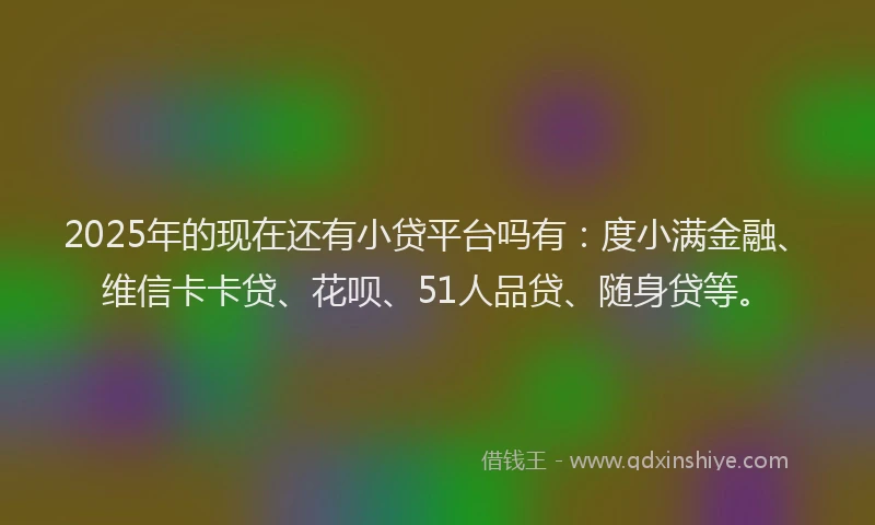 2025年的现在还有小贷平台吗有：度小满金融、维信卡卡贷、花呗、51人品贷、随身贷等。