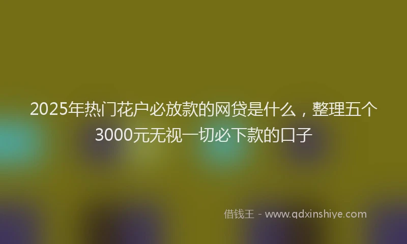 2025年热门花户必放款的网贷是什么，整理五个3000元无视一切必下款的口子