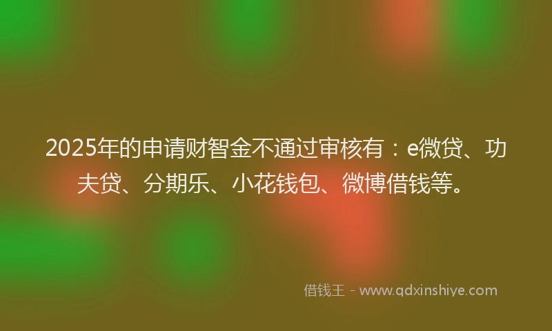 2025年的申请财智金不通过审核有：e微贷、功夫贷、分期乐、小花钱包、微博借钱等。
