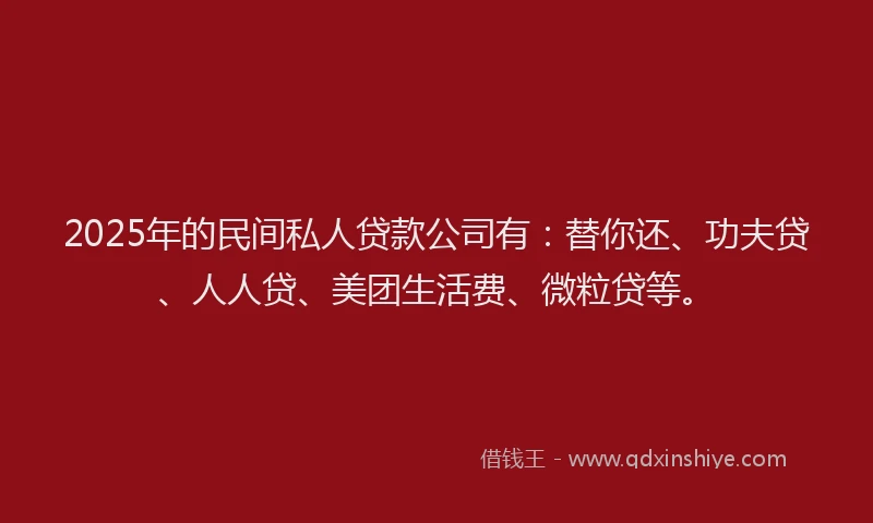 2025年的民间私人贷款公司有：替你还、功夫贷、人人贷、美团生活费、微粒贷等。