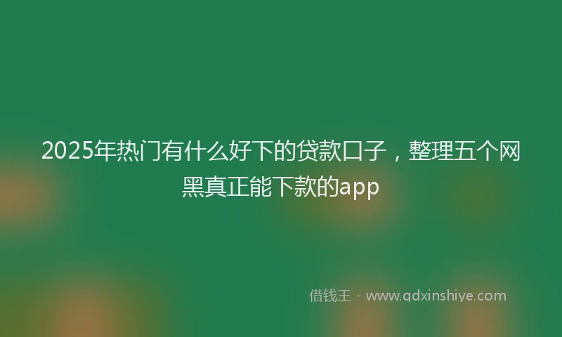 2025年热门有什么好下的贷款口子，整理五个网黑真正能下款的app