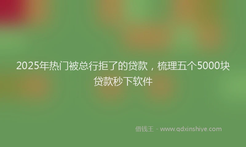 2025年热门被总行拒了的贷款，梳理五个5000块贷款秒下软件