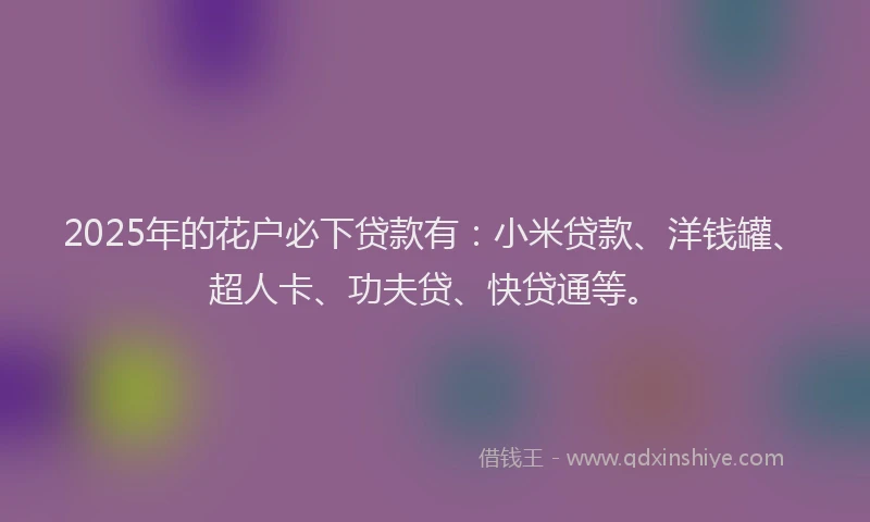2025年的花户必下贷款有：小米贷款、洋钱罐、超人卡、功夫贷、快贷通等。