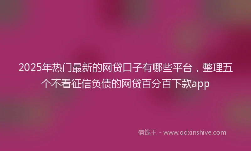 2025年热门最新的网贷口子有哪些平台，整理五个不看征信负债的网贷百分百下款app