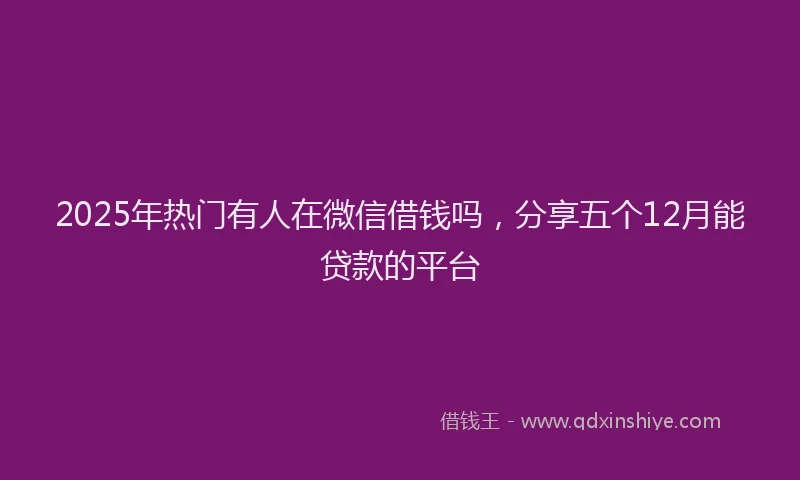 2025年热门有人在微信借钱吗，分享五个12月能贷款的平台
