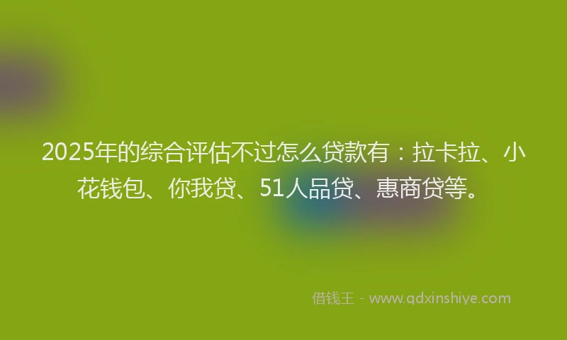 2025年的综合评估不过怎么贷款有：拉卡拉、小花钱包、你我贷、51人品贷、惠商贷等。