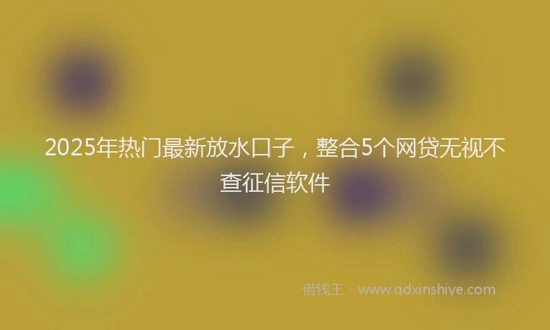2025年热门最新放水口子，整合5个网贷无视不查征信软件