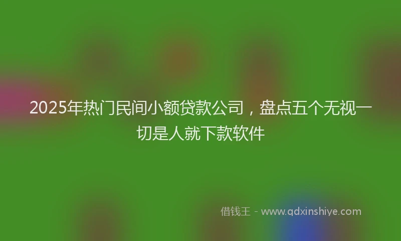 2025年热门民间小额贷款公司，盘点五个无视一切是人就下款软件