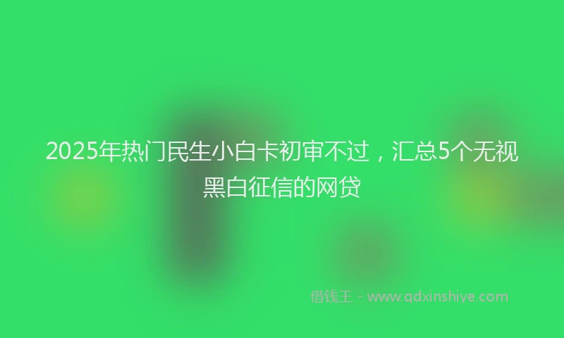 2025年热门民生小白卡初审不过，汇总5个无视黑白征信的网贷