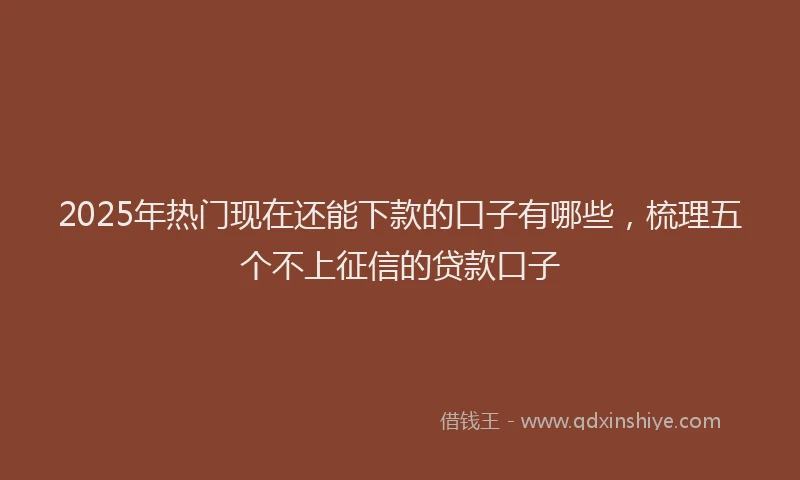 2025年热门现在还能下款的口子有哪些，梳理五个不上征信的贷款口子