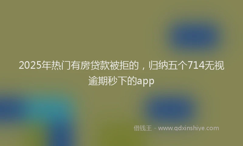 2025年热门有房贷款被拒的，归纳五个714无视逾期秒下的app