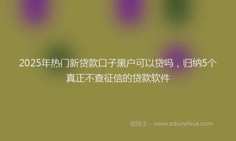 2025年热门新贷款口子黑户可以贷吗，归纳5个真正不查征信的贷款软件