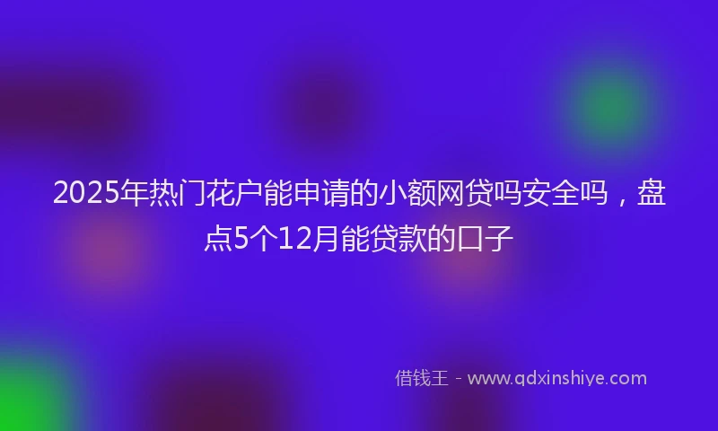 2025年热门花户能申请的小额网贷吗安全吗，盘点5个12月能贷款的口子