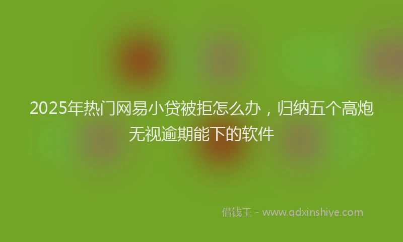 2025年热门网易小贷被拒怎么办，归纳五个高炮无视逾期能下的软件
