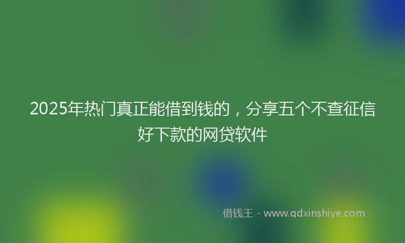 2025年热门真正能借到钱的，分享五个不查征信好下款的网贷软件