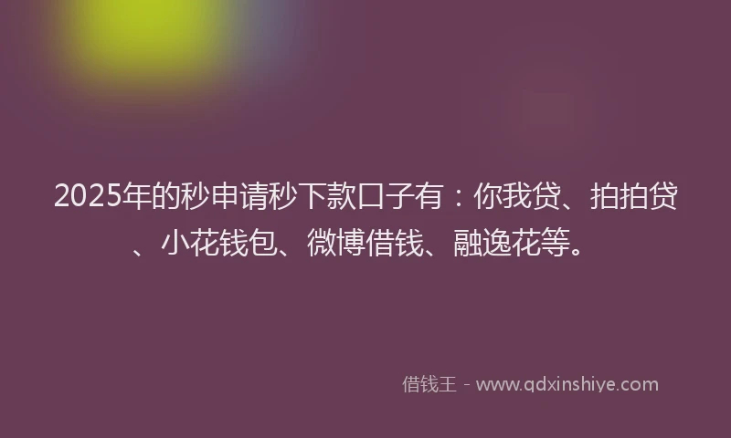2025年的秒申请秒下款口子有：你我贷、拍拍贷、小花钱包、微博借钱、融逸花等。