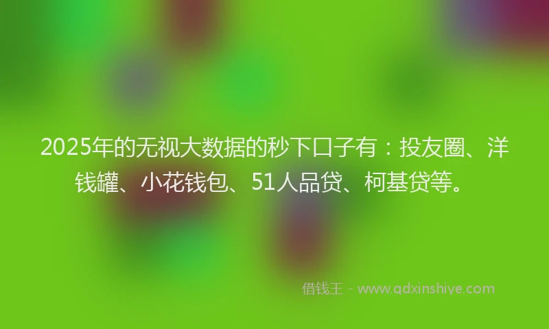 2025年的无视大数据的秒下口子有：投友圈、洋钱罐、小花钱包、51人品贷、柯基贷等。