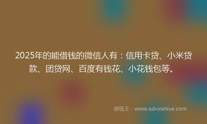 2025年的能借钱的微信人有：信用卡贷、小米贷款、团贷网、百度有钱花、小花钱包等。
