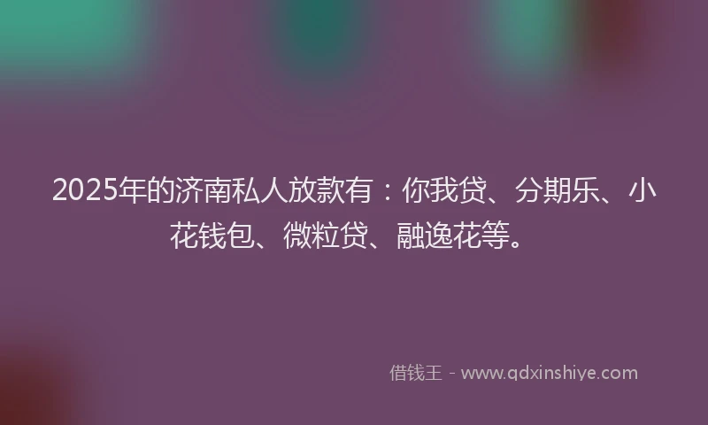 2025年的济南私人放款有：你我贷、分期乐、小花钱包、微粒贷、融逸花等。