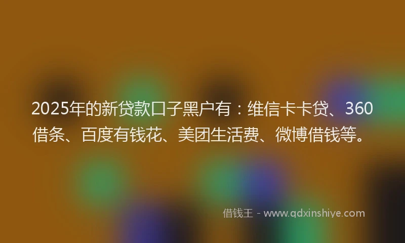 2025年的新贷款口子黑户有：维信卡卡贷、360借条、百度有钱花、美团生活费、微博借钱等。