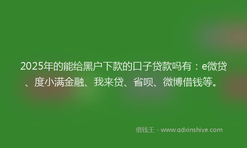 2025年的能给黑户下款的口子贷款吗有：e微贷、度小满金融、我来贷、省呗、微博借钱等。