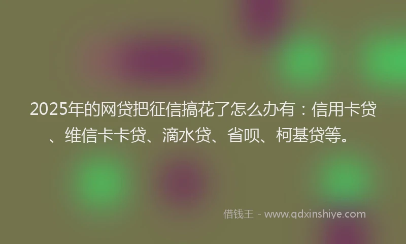 2025年的网贷把征信搞花了怎么办有：信用卡贷、维信卡卡贷、滴水贷、省呗、柯基贷等。