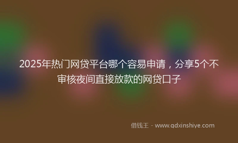 2025年热门网贷平台哪个容易申请，分享5个不审核夜间直接放款的网贷口子