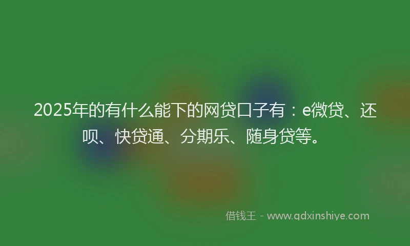 2025年的有什么能下的网贷口子有：e微贷、还呗、快贷通、分期乐、随身贷等。