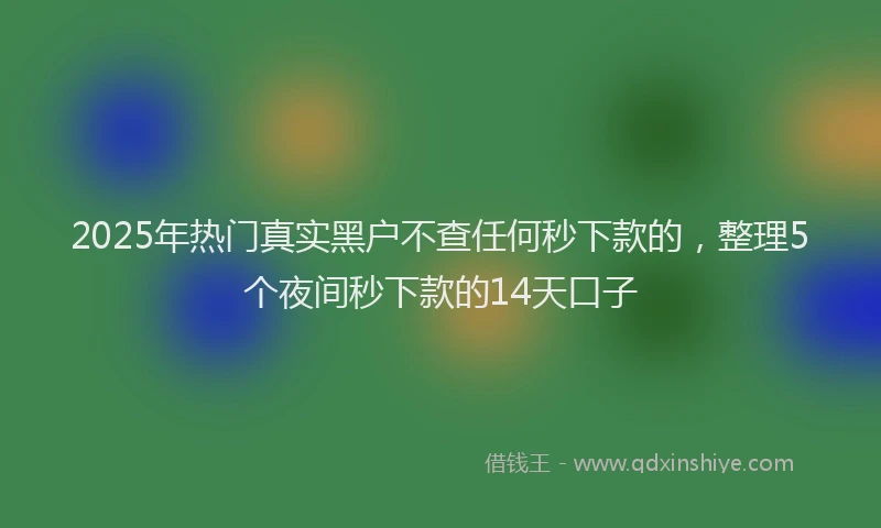2025年热门真实黑户不查任何秒下款的，整理5个夜间秒下款的14天口子