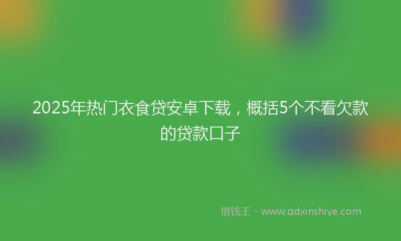 2025年热门衣食贷安卓下载，概括5个不看欠款的贷款口子