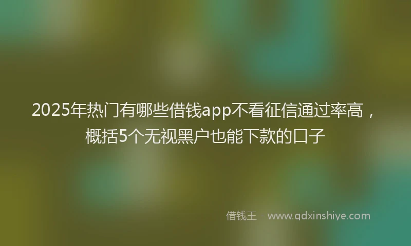 2025年热门有哪些借钱app不看征信通过率高，概括5个无视黑户也能下款的口子