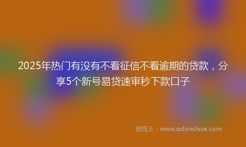 2025年热门有没有不看征信不看逾期的贷款，分享5个新号易贷速审秒下款口子