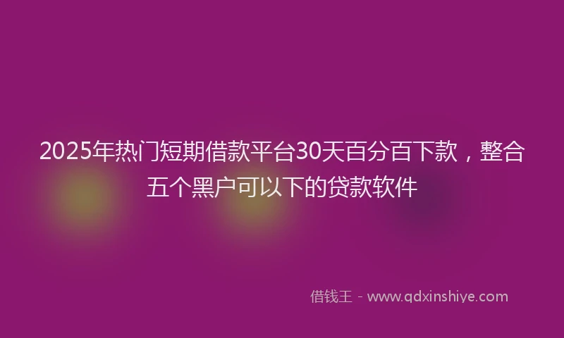 2025年热门短期借款平台30天百分百下款，整合五个黑户可以下的贷款软件