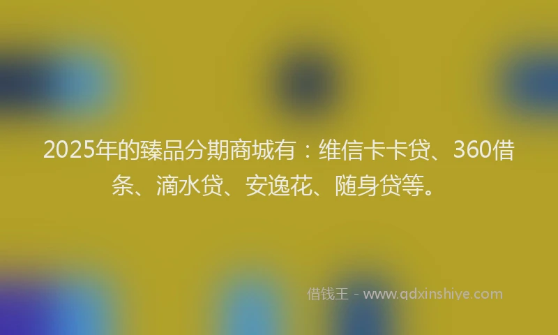 2025年的臻品分期商城有：维信卡卡贷、360借条、滴水贷、安逸花、随身贷等。