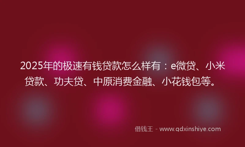 2025年的极速有钱贷款怎么样有：e微贷、小米贷款、功夫贷、中原消费金融、小花钱包等。