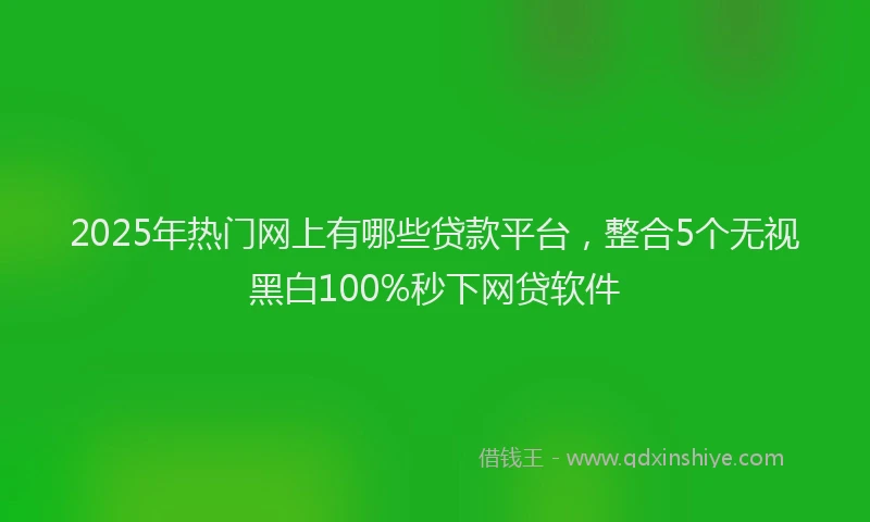 2025年热门网上有哪些贷款平台，整合5个无视黑白100%秒下网贷软件