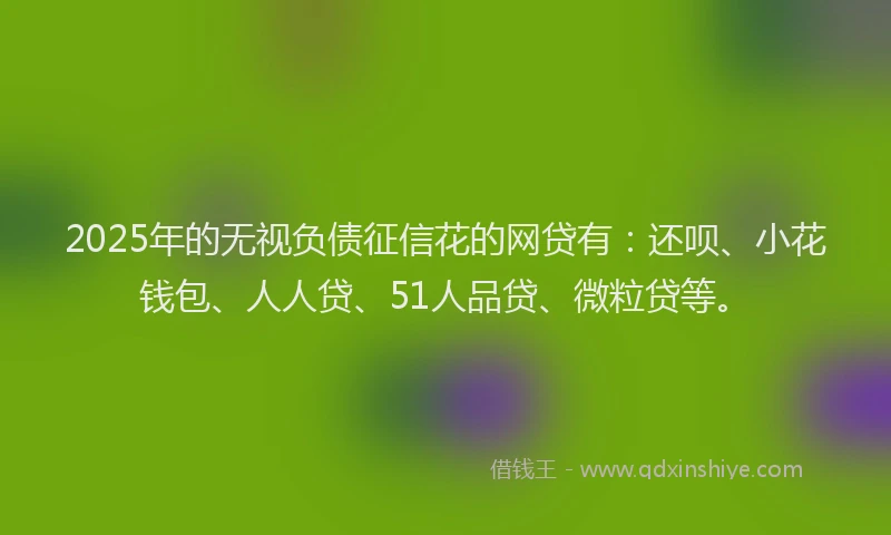 2025年的无视负债征信花的网贷有：还呗、小花钱包、人人贷、51人品贷、微粒贷等。