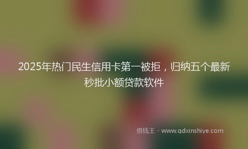2025年热门民生信用卡第一被拒，归纳五个最新秒批小额贷款软件
