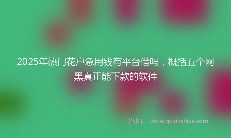 2025年热门花户急用钱有平台借吗，概括五个网黑真正能下款的软件