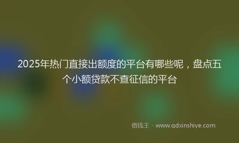 2025年热门直接出额度的平台有哪些呢，盘点五个小额贷款不查征信的平台