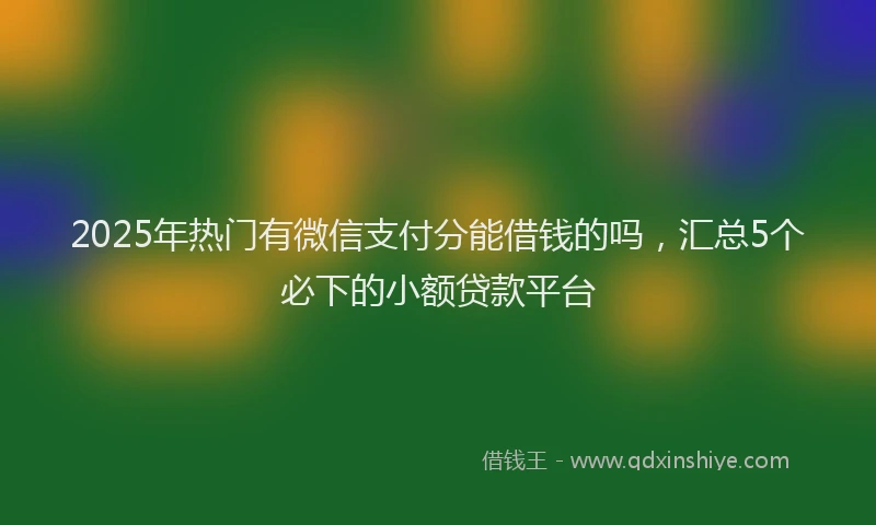 2025年热门有微信支付分能借钱的吗，汇总5个必下的小额贷款平台
