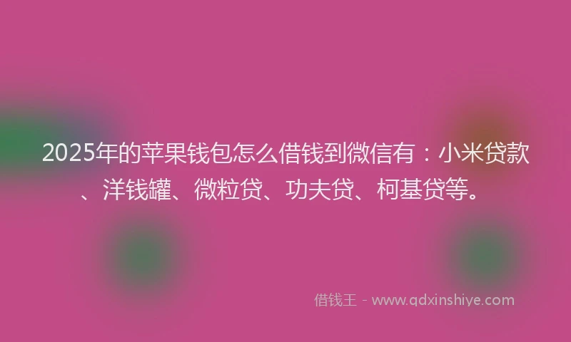 2025年的苹果钱包怎么借钱到微信有：小米贷款、洋钱罐、微粒贷、功夫贷、柯基贷等。
