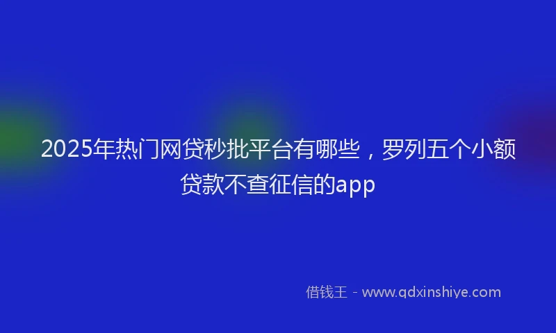 2025年热门网贷秒批平台有哪些，罗列五个小额贷款不查征信的app