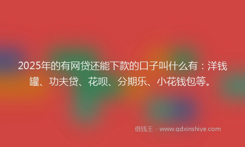 2025年的有网贷还能下款的口子叫什么有：洋钱罐、功夫贷、花呗、分期乐、小花钱包等。